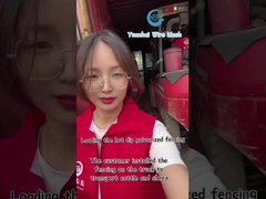 Painel de cerca triangular de malha de arame decorativa de alta segurança cor personalizada