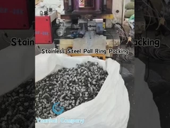 Anéis Pall de Metal de Aço Inoxidável para Absorção de Gás e Destilação