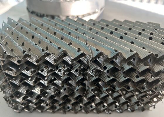 SS304/316 Metal Perforated Packing for Fine Chemical & Vacuum Distillation