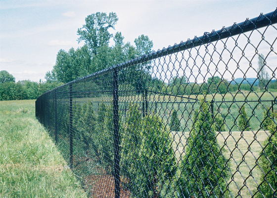 Quente mergulhado galvanizou o calibre provisório 4.0mm de Mesh Fencing 9 para a exploração agrícola