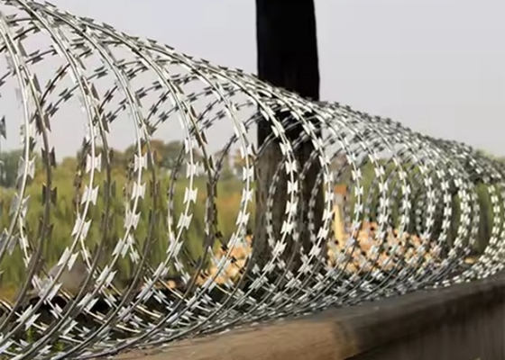 Barras de barbear de barbante galvanizado revestido de PVC